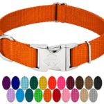 Country Brook Petz – Premium Nylon Dog Collar with Metal Buckle – Vibrant 24 Color Selection (Extra Large, 1 Inch Wide, Orange)
