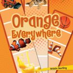 Orange Everywhere (Lightning Bolt Books ® _ Colors Everywhere)