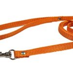 Luna&Max 4 Foot x 3/8 inch Nylon Leash Small Dog Cats Rabbits Leash Standard Leash Traditional Style Leash with Easy to Use Collar Hook for Small Dogs, CatsRabbits Multiple Colors Available (Orange)