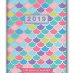 Orange Circle Studio 2019 Monthly Pocket Planner, August 2018 – December 2019, Kaleidoscope