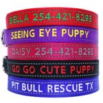 Go Go Cute Puppy- Reflective Personalized Dog Collars – Custom Embroidered Collar W/Pet Name and Phone Number – 4 Adjustable Sizes – 5 Bright Reflecting Colors for Boy and Girl Dogs