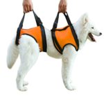 Alfie Pet – Harrison Support & Rehabilitation Lifting Harness Front and Rear Set – Color: Orange, Size: Small