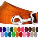 Country Brook Petz – Vibrant 25 Color Selection – Nylon Dog Leash (3/4 Inch Wide, 6 Foot, Orange)