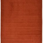 Euro Collection Solid Color Area Rug Rugs Slip Skid Resistant Rubber Backing Machine Washable More Color Options Available (Burnt Orange, 3’3″ x 4’11”)