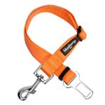 Blueberry Pet Essentials 19 Colors Classic Dog Seat Belt Tether for Dogs Cats, Florence Orange, Durable Safety Car Vehicle Seatbelts Leads Use with Harness