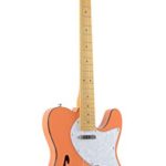 Firefly FFTH Semi-Hollow body Guitar Orange color.