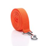 SALO Durable Nylon Dog Leash 6 Feet Long, Walking Training Dog Leashes for Medium Large Dogs, 1 Inch Wide (Orange)