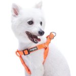 Blueberry Pet Essentials 19 Colors Step-in Classic Dog Harness, Chest Girth 26″ – 39″, Florence Orange, Large, Adjustable Harnesses for Dogs