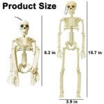 5 Packs Posable Halloween Skeleton, Full Body Halloween Skeleton with Movable Joints, 16″ Hanging Spooky Skeletons for Halloween Haunted House Party Home Props Decorations