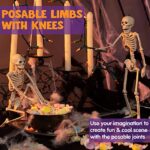 JOYIN 2 Packs 16″ Posable Halloween Skeletons | Full Body Posable Joints Skeletons for Halloween Decoration, Graveyard Decorations, Haunted House Accessories