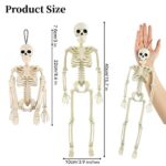 Eoaod Halloween Skeletons, Skeleton Halloween Decorations Clearance, 16″ Posable Hanging Halloween Skeletons for Skeleton Decor Haunted House Accessories Party Outdoor/Indoor