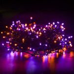 FUNPENY 300 LED Indoor String Lights, 100 FT Plug in Waterproof String Lights with 8 Modes for Halloween Thanksgiving Christmas Garden Decoration, Indoor and Outdoor Decorations (Purple-Orange)