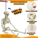 TOY Life 4 Pcs Halloween Hanging Skeleton Decoration – 16” Posable Skeleton Halloween Decoration – Skeleton Decor – Halloween Decorations Outdoor Indoor – Halloween Party Decoration – Plastic Skeleton