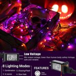 Flacchi Halloween Lights 350 Ft 1000 LED String Lights 8 Modes Timer Function Low Voltage Indoor & Outdoor Mini Lights for Holiday Decor, Halloween Decorations Orange Purple