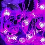 2 Set Halloween String Lights 40 LED Battery Operated String Lights with 9.8 Feet 20 LEDs Spider Lights and 9.8 Feet 20 LEDs Bat Lights Halloween Decoration Lights Fairy Lights for Outdoor and Indoor