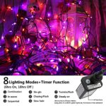 Lyhope Orange & Purple Halloween Lights, 66ft 200 LED 8 Modes Low Voltage Mini Halloween String Lights, with Timer Connectable Halloween Lights for Home, Graveyard, Carnival, Outdoor, Indoor Decor