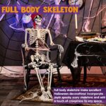 JOYIN 5 ft Pose-N-Stay Life Size Skeleton Full Body Realistic Human Bones with Posable Joints for Halloween Pose Skeleton Prop Decoration