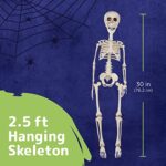 Prextex 30” Halloween Skeleton for Halloween Décor & Day of The Dead Décor – 2.5 ft Full Size Plastic Halloween Skeleton with Movable Joints for Best Halloween Decoration – Indoor & Outdoor