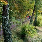 Explore Prague’s historic Vrtba Garden, a hidden spot of beauty