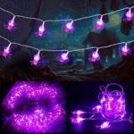 Spider Lights Halloween Decorations,2 Pack 60 LED Spider Lights Halloween String Lights,10.5Ft 2 Modes Purple Halloween Lights Battery Operated for Indoor Outdoor Halloween Decor
