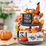 Homozat Halloween Decor -Halloween Home Decor-Halloween Tray Decorations-7PCS Farmhouse Tiered Tray Decor 3 Rustic Bead Garland Farmhouse Pumpkin Straws Decorations HM-SCTPTZ Brown