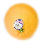 Orange Navel Organic