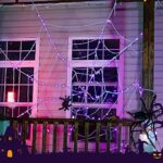 Cobbe 12 FT Purple Halloween Decorations Lights Spider Web 120 LED Lights 2 Mode Lights for Party Yard WP-ZZWD-ZS