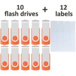 Enfain Orange Flash Drive 32GB 10 Pack USB 2.0 Jump Drives Swivel Memory Sticks Thanksgiving Gift Fall Decor