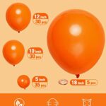 Styirl Orange Party Latex Balloons – 100 pcs 5/10/12/18 inch Party Latex Ballons As Birthday Balloons/Merry Chritmas Balloons/Graduation Balloons/Gender Reveal Balloons for Birthday/Baby Shower