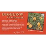 Bigelow Tea Orange & Spice Herbal Tea, Caffeine Free, 20 Count (Pack of 6), 120 Total Tea Bags