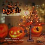 Woohaha 2FT 24 LED Light Up Tree Tabletop Lighted Halloween Tree Battery Operated Halloween Table Lights Tree with 8 Pieces Black Wooden Ornaments for Indoor Home Bedroom Halloween Fall Decor(Orange)