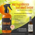 Angry Orange Toilet Spray – Eliminati Bathroom Odor Eliminator & Air Freshener for Room and Home Use – 6 Ounce Citrus Orange Spice Deodorizer