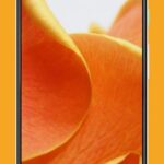 Orange Color Wallpapers & Backgrounds