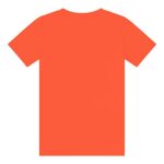 Champion Boys Shirt Performance Short Sleeve Tech Athletic Tee Shirt Top Kids Clothing – Great for Gym, Sports, and School (X-Large Spicy Orange Sliced C)
