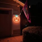 Lamomo LED Neon Lights, 16.4ft Orange Halloween Decorations 0.39In/Cut Neon Light Strip, 12V Flexible Waterproof LED Strip,Silicone Neon Rope Light for Indoor Outdoor Decor?Power Adapter not Included