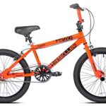 Razor High Roller BMX/Freestyle Bike (20-Inch Wheel)