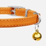 CollarDirect Leather Cat Collar with Elastic Safety Strap and Bell for Boy, Girl, Kitten (Neck Fit 9″-11″, Orange)
