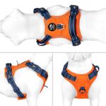 PHOEPET No Pull Dog Harness, Unique Colors Reflective Adjustable Dog Vest, with Soft Training Handle Metal Clips for Small Medium Large Dogs (Orange Base & Blue Straps,XL)
