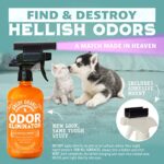 ANGRY ORANGE Pet Odor Eliminator for Strong Odor – Citrus Deodorizer for Strong Dog or Cat Pee Smells on Carpet, Furniture & Indoor Outdoor Floors – Puppy Supplies – (24 Fl Oz + UV Flashlight)