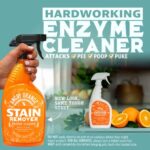 ANGRY ORANGE Pet Stain and Odor Remover – 2 Spray Pack – 32 oz Dog, Ferret, Rabbit & Cat Urine Enzyme Cleaner – 24 oz Pet Odor Eliminator for Strong Odor – for Pee on Carpet, Furniture, Tile, Wood