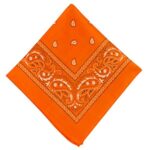 Amscan 20″ x 20″ Paisley Bandana, Orange