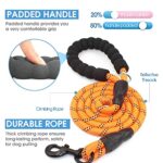 BAAPET 2/4/5/6 FT Dog Leash with Comfortable Padded Handle and Highly Reflective Threads for Small Medium and Large Dogs (6FT-1/2”, Orange)
