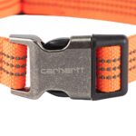 Carhartt Dog Collar Hunter Orange/Brushed Nickel Large
