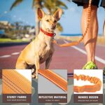 AUROTH Dog Leash Large Dogs, Heavy Duty Dog Leash Bungee, No Pull Dog Leash for Shock Absorption, Orange Dog Training Leashes for Medium Large Breed Dogs 6FT, 2 Padded Handles