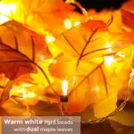 Fall Decor [2 Pack] Lighted Fall Garland, Total 16.4ft 40 LED Thanksgiving Decor Halloween String Lights, Friendsgiving Gift Thanksgiving Decorations for Home Holiday Autumn Garland Indoor