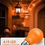 Orange Light Bulbs [ 4 Pack ] A19 Halloween Light Bulbs LED Orange Bulb Outdoor 9W (60 Watt Equivalent) – E26 Colored Light Bulb for Porch Light Christmas Party Home Holiday Decorative Illumination