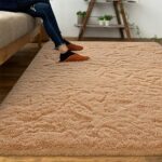 DweIke Super Soft Shaggy Rugs Fluffy Carpets, 3×5 ft, Pale Orange Area Rug for Living Room Bedroom Girls Kids Room Nursery Home Decor, Non-Slip Plush Indoor Floor Bedside Rug, 3×5 Feet Pale Orange