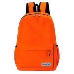 POWOFUN 15 inch Kids Backpack Lightweight Elementary School bag Kindergarten Bookbag Casual Travel Daypack