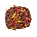 Novelty Lights 50 Commercial LED Fall/Thanksgiving Lights (Yellow/Red/Orange), 25 Feet w/ 6 inch Bulb Spacing, 5mm Bulbs, UL Listed, Brown Wire String Lights