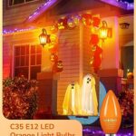 EDISHINE Orange Dimmable Light Bulb, C35 E12 Candelabra Bulbs, 60 Watt Equivalent, LED Chandelier Bulb, Vintage Candle Light Bulb, Decorative Lighting for Halloween, Christmas, Party, Porch, 6 Pack